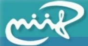 Logo NIIFI